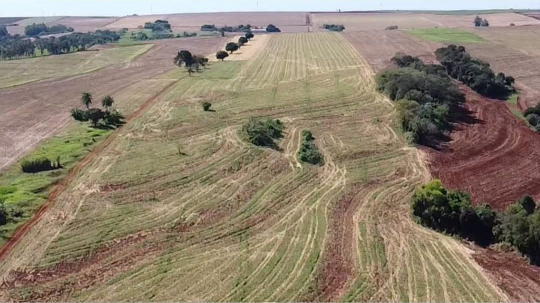 Chácara de 3,5 alqueires apta para aviários