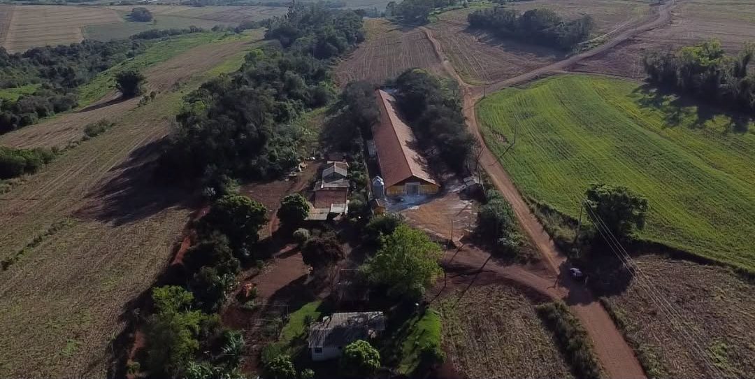 Chácara de 2 alqueires com aviário e moradia